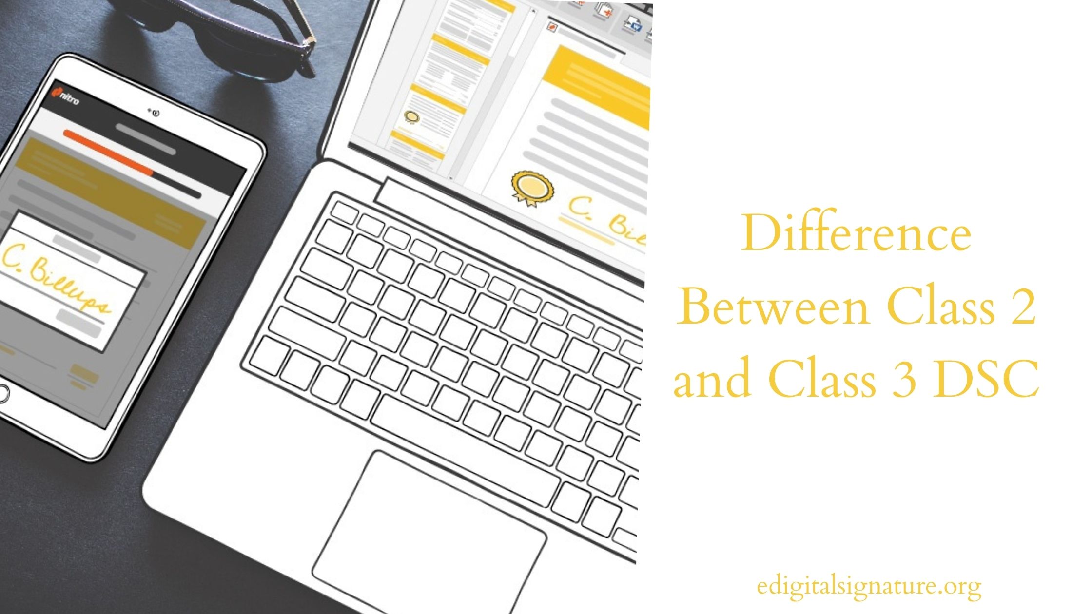 Difference Between Class 2 and Class 3 Digital Signature Certificate (DSC)< 
